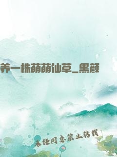 养一株萌萌仙草