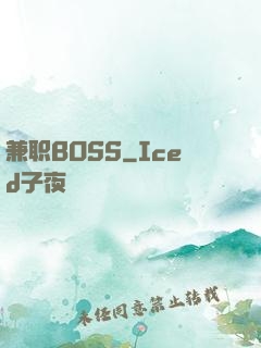 兼职BOSS
