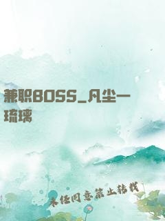 兼职BOSS