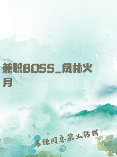 兼职BOSS