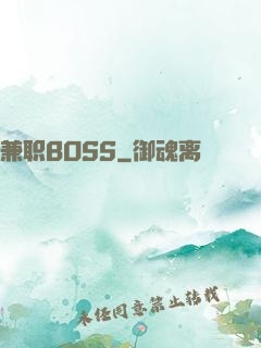 兼职BOSS
