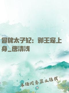 冒牌太子妃：邪王宠上身