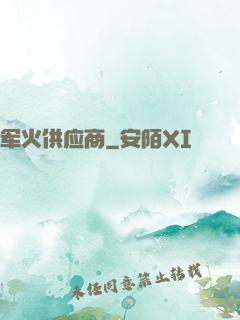 军火供应商