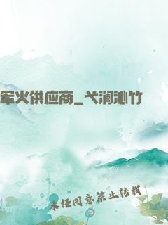 军火供应商