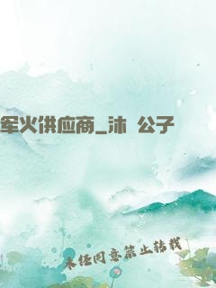 军火供应商