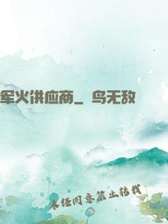 军火供应商