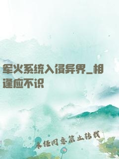 军火系统入侵异界