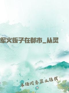 军火贩子在都市