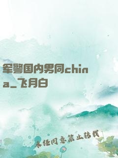 军警国内男同china