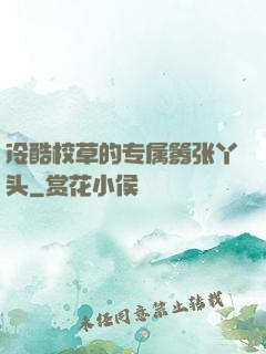 冷酷校草的专属嚣张丫头