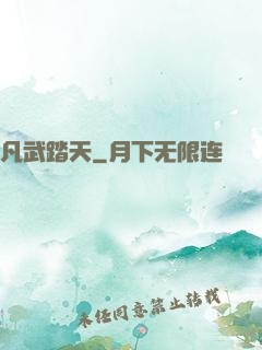 凡武踏天