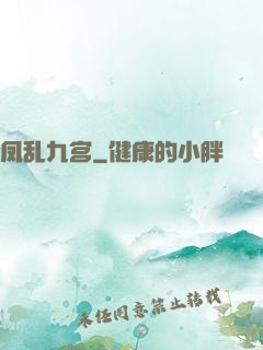 凤乱九宫