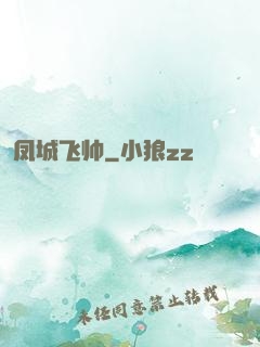 凤城飞帅