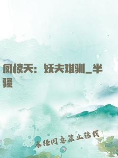 凤惊天：妖夫难驯