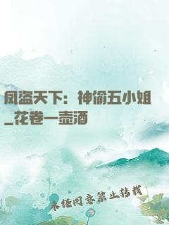凤盗天下：神偷五小姐