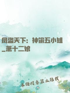 凤盗天下：神偷五小姐