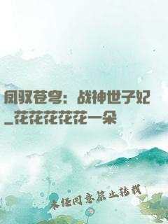 凤驭苍穹：战神世子妃