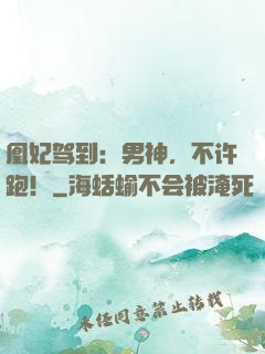 凰妃驾到：男神，不许跑！