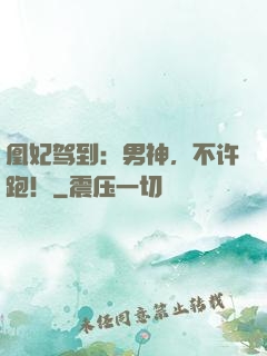 凰妃驾到：男神，不许跑！