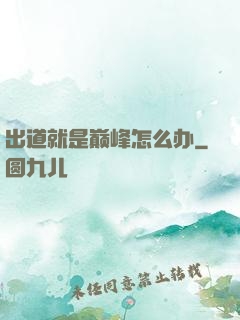 出道就是巅峰怎么办