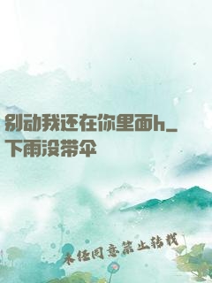 别动我还在你里面h