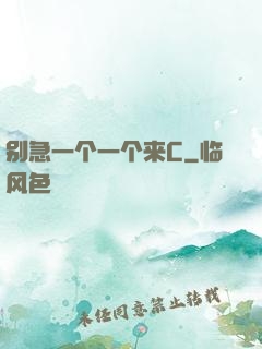 别急一个一个来C