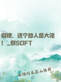 别撩，这个路人是大佬！
