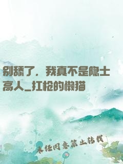 别舔了，我真不是隐士高人