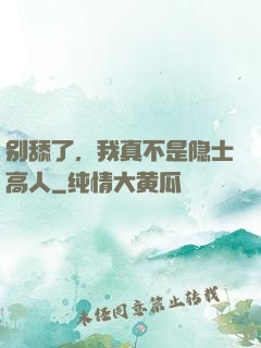 别舔了，我真不是隐士高人