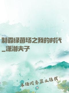 制霸绿茵场之我的时代