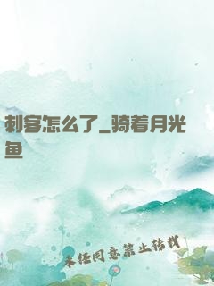 刺客怎么了