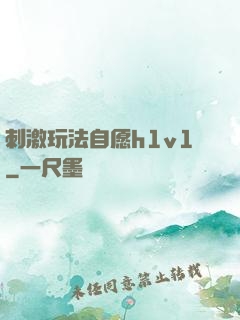 刺激玩法自愿h1v1