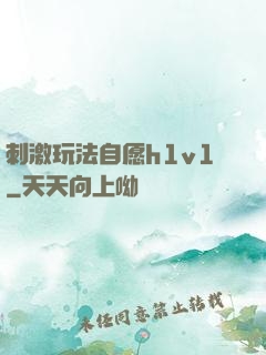 刺激玩法自愿h1v1