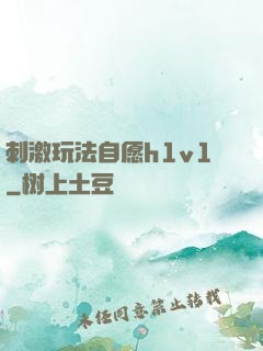 刺激玩法自愿h1v1