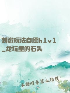刺激玩法自愿h1v1