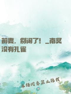 前妻，别闹了！
