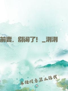 前妻，别闹了！