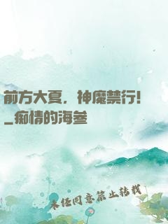 前方大夏，神魔禁行！