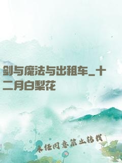 剑与魔法与出租车