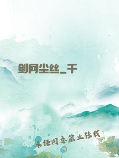 剑网尘丝