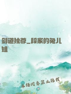 剑道独尊