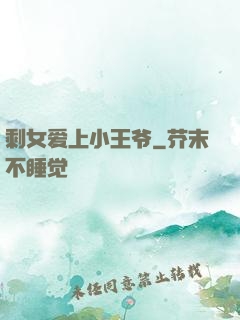 剩女爱上小王爷