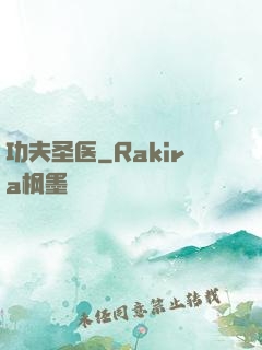 功夫圣医