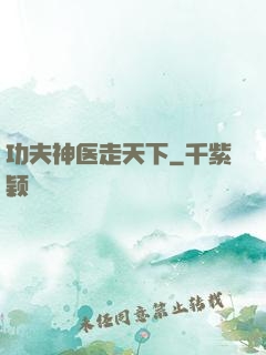 功夫神医走天下