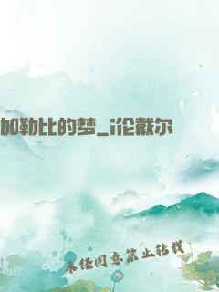 加勒比的梦