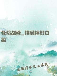 北境战尊