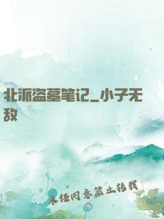北派盗墓笔记
