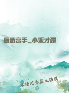 医武高手