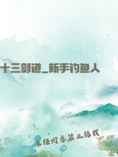 十三剑道