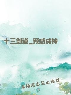 十三剑道